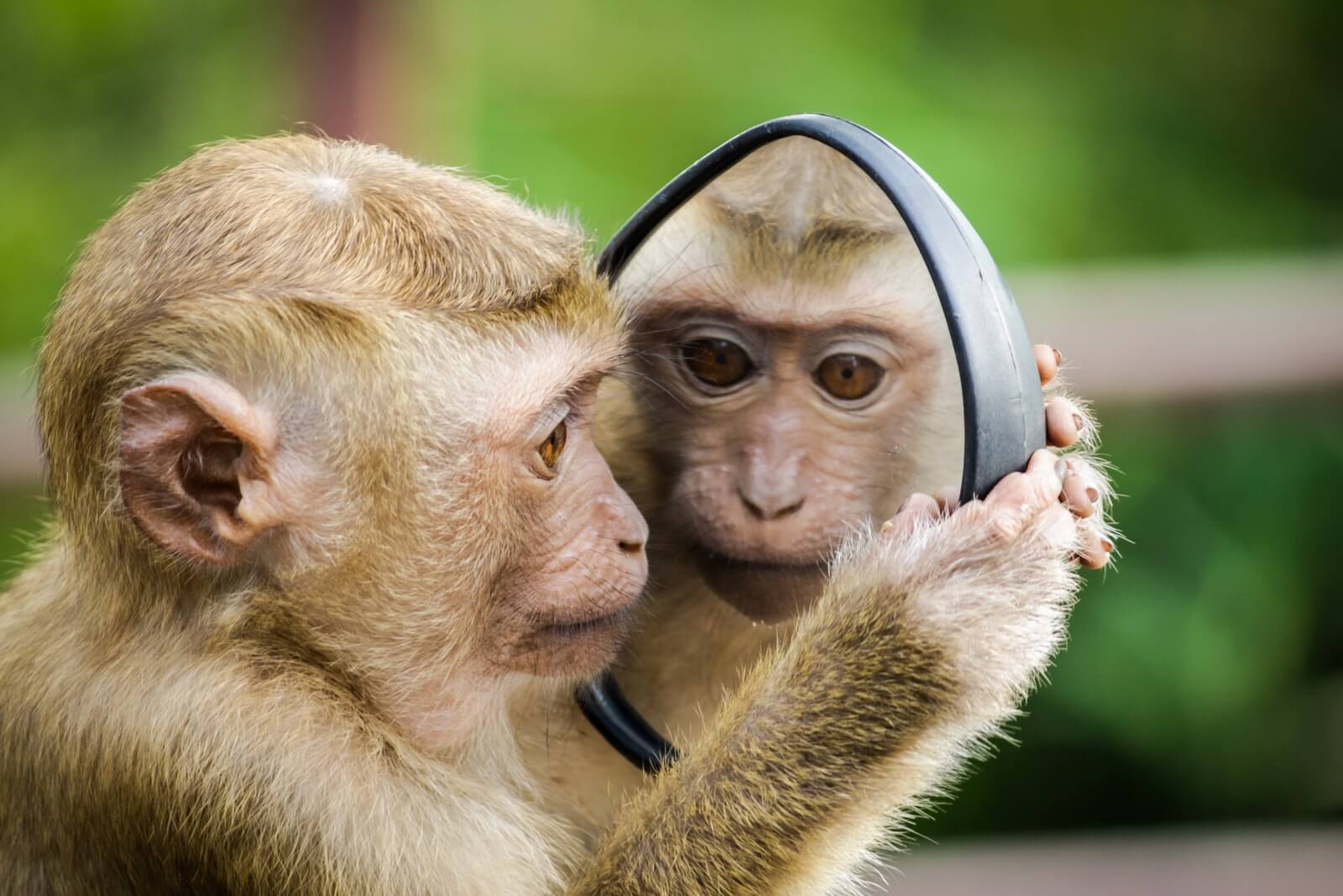 Pourquoi installer un miroir pour se voir et se sentir mieux ? | Photo par Andre Mouton