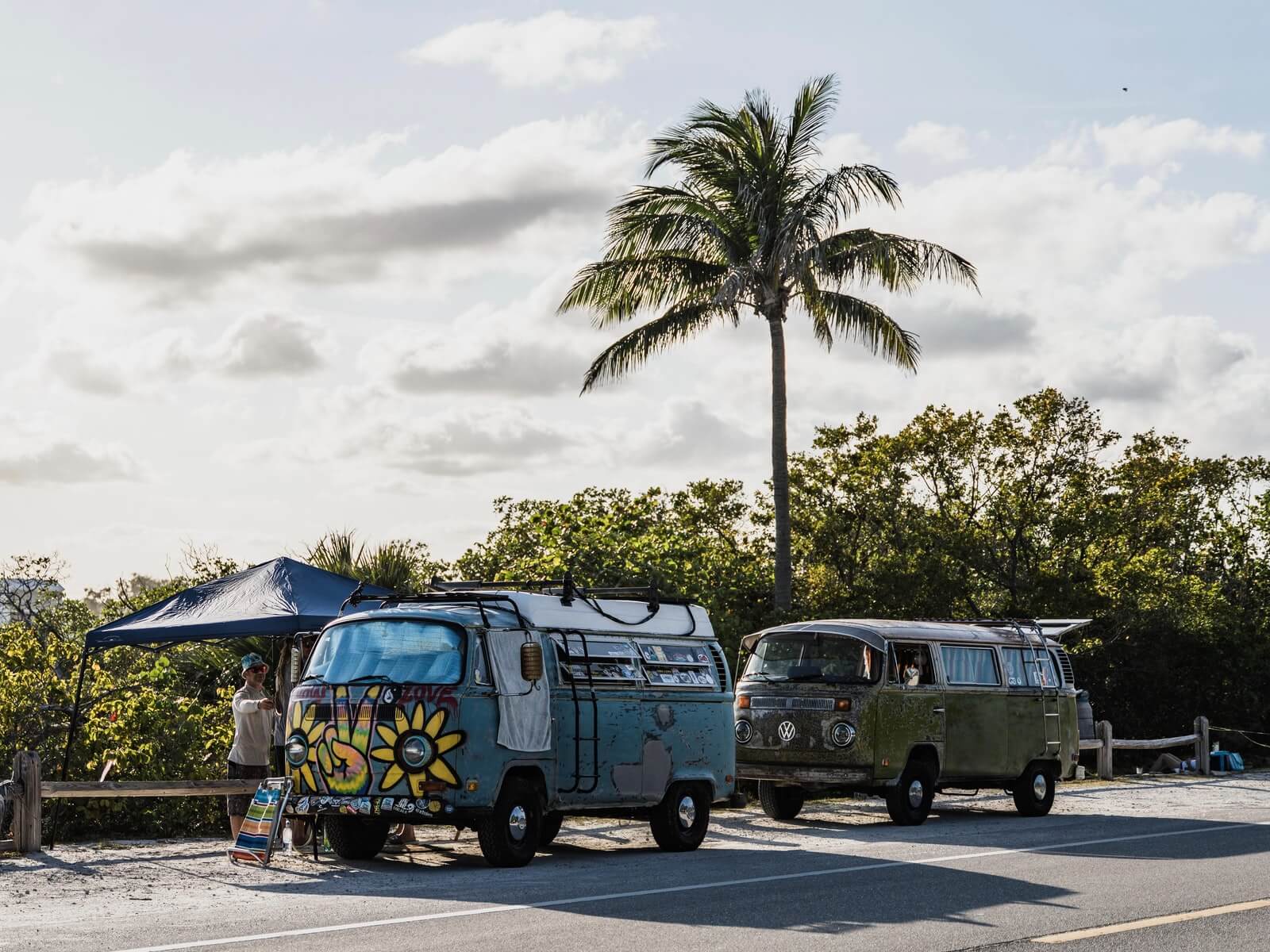 blue and white van near palm trees during daytime