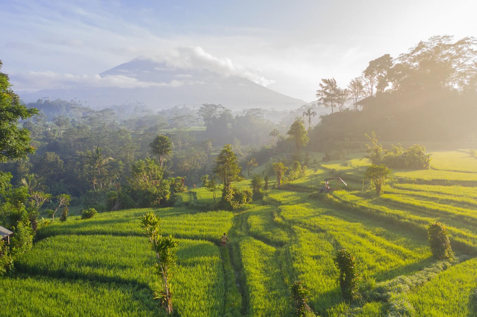 Bali | Photo par Geio Tischler